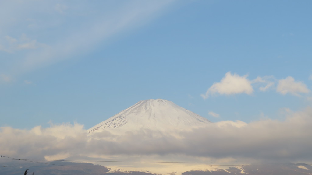 ごごまるの今朝の富士山!