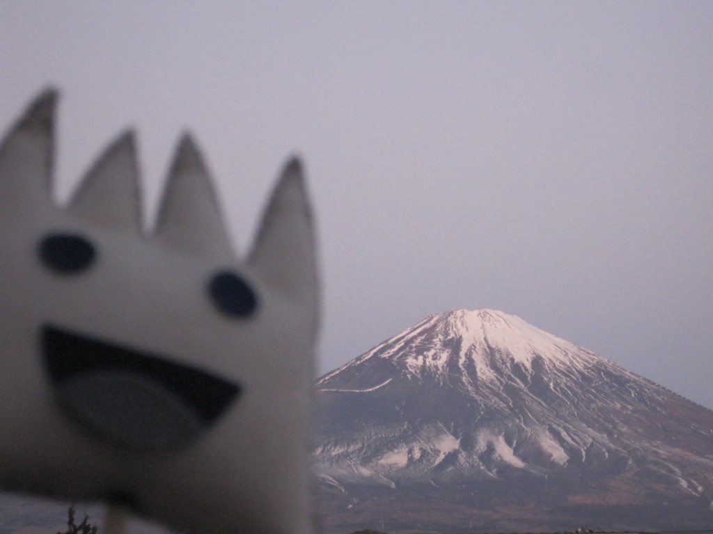 ごごまるの今朝の富士山