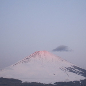 ごごまるの、今朝の富士山