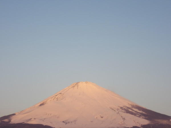 ごごまるの〜今朝の富士山♪