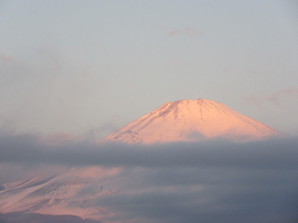 ごごまるの〜今朝の富士山♪