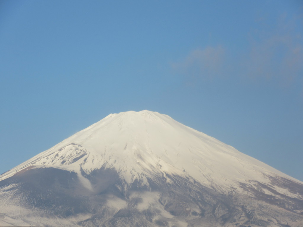 ごごまるの〜今朝の富士山♪