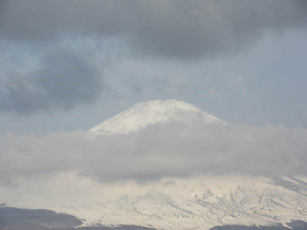 ごごまるの 今朝の富士山♪