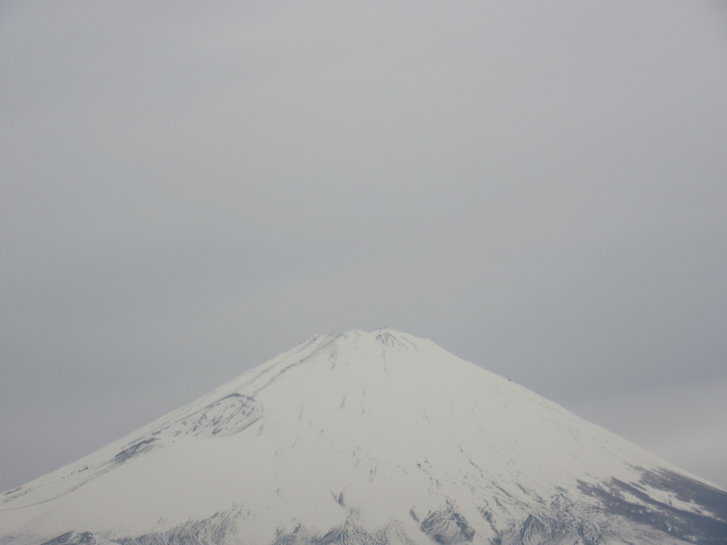 ごごまるの、今朝の富士山♪