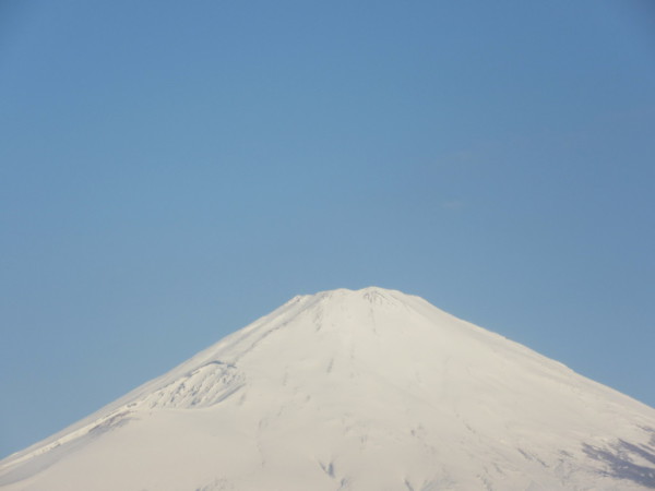 ごごまるの、今朝の富士山♪