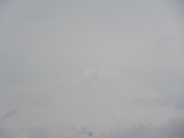 ごごまるの、今朝の富士山♪