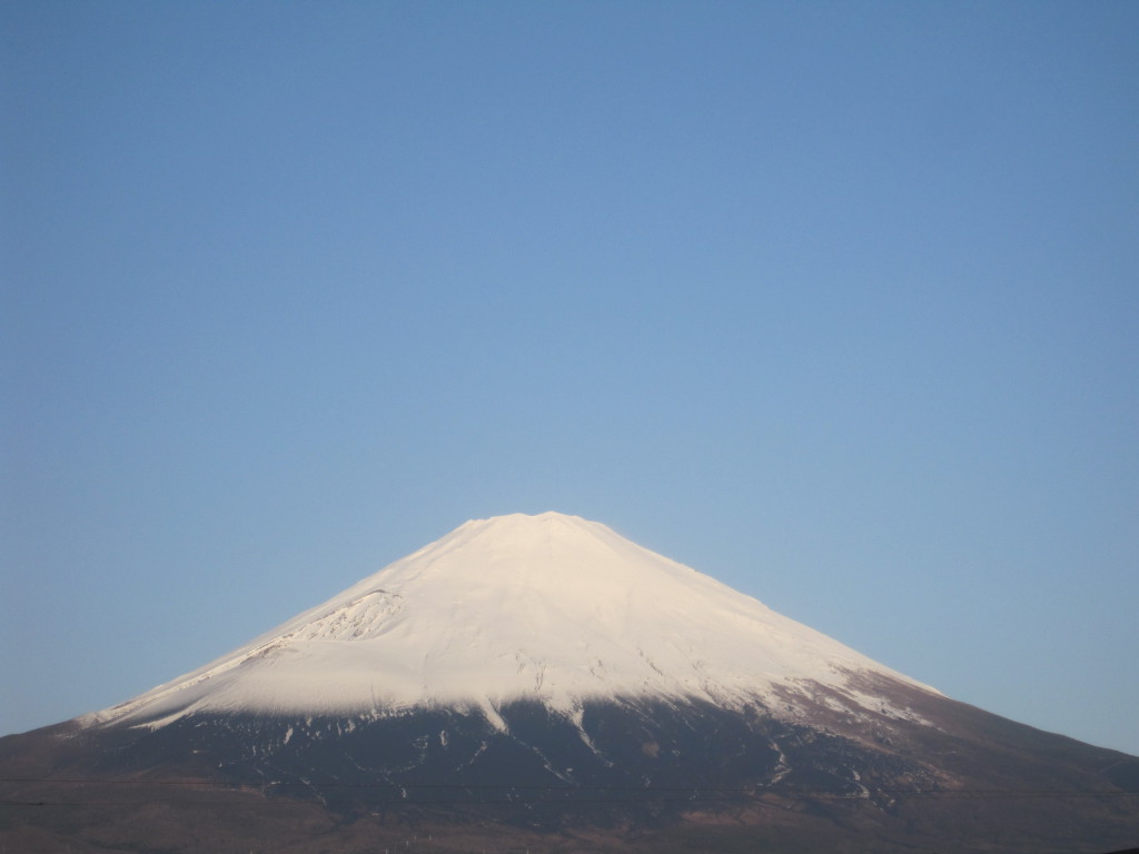 ごごまるの、今朝の富士山
