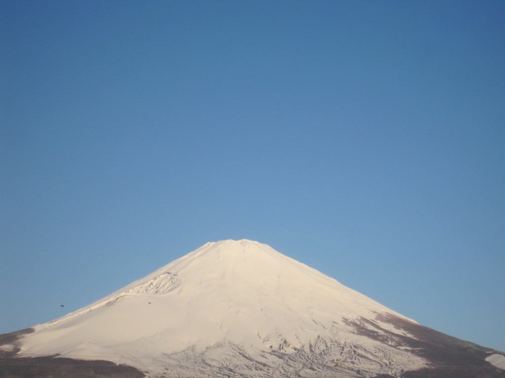 ごごまるの、今朝の富士山