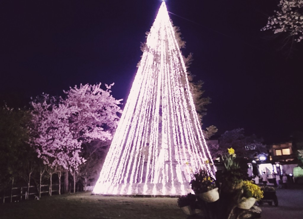 4月13日  山本ひろみの         Fujiyama sunshine   水曜日★予告