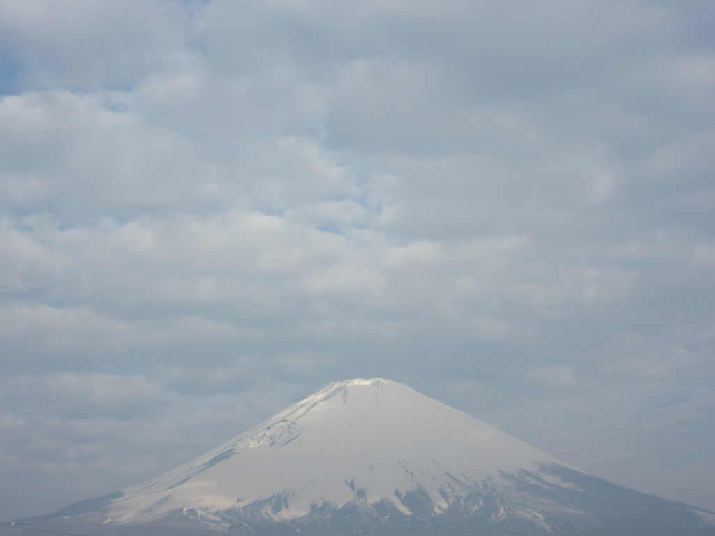 ごごまるの〜今朝の富士山♪
