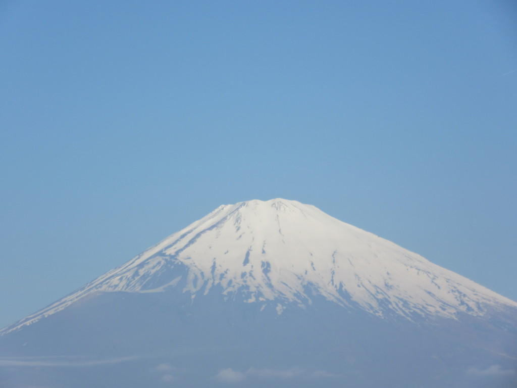 ごごまるの 今朝の富士山