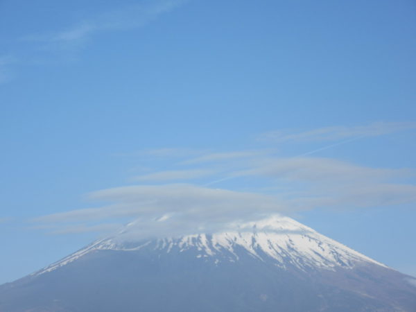 ごごまるの〜今朝の富士山♪