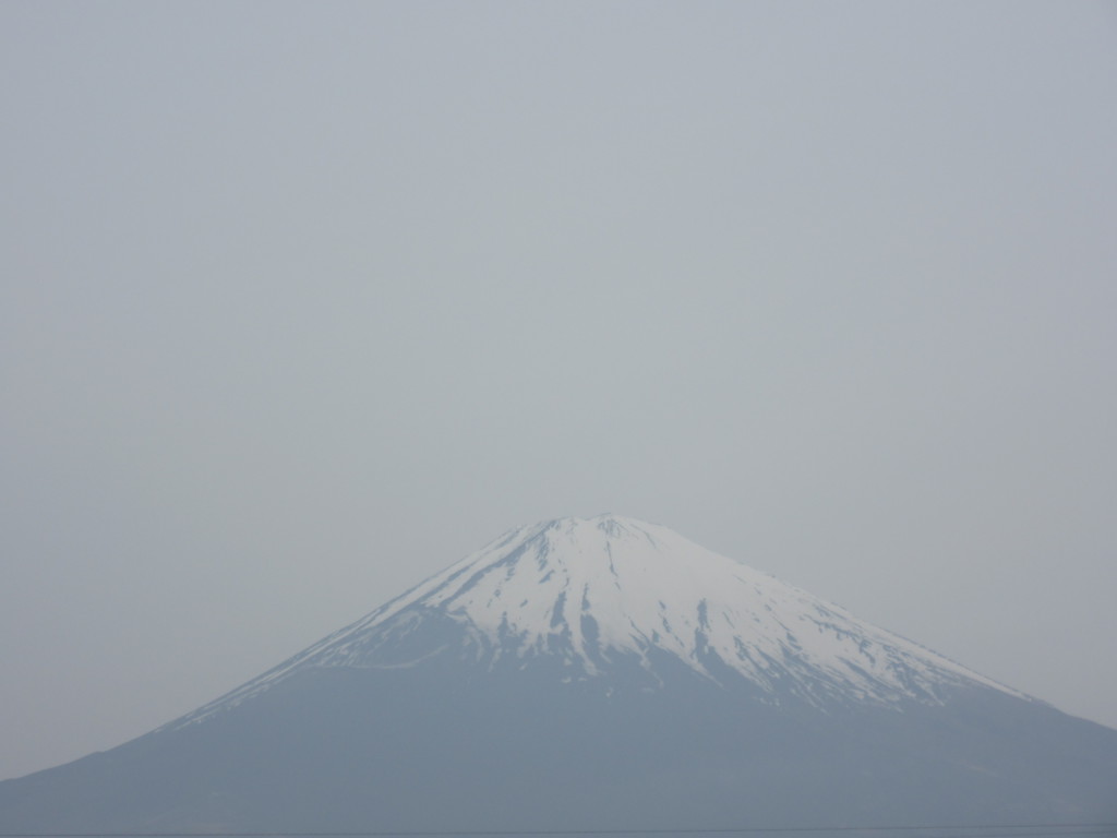 ごごまるの 今朝の富士山♪