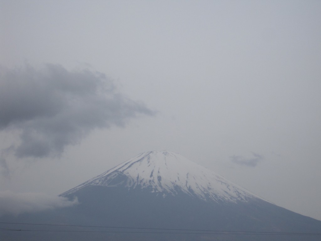 ごごまるの、今朝の富士山♪