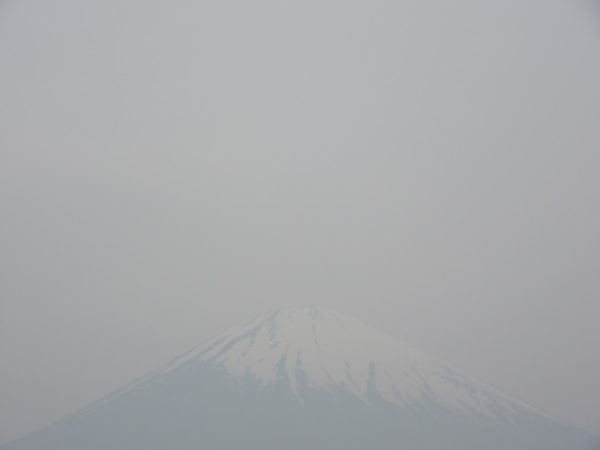 ごごまるの 今朝の富士山♪