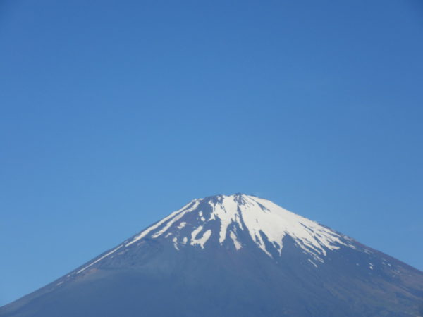 ごごまるの、今朝の富士山♪