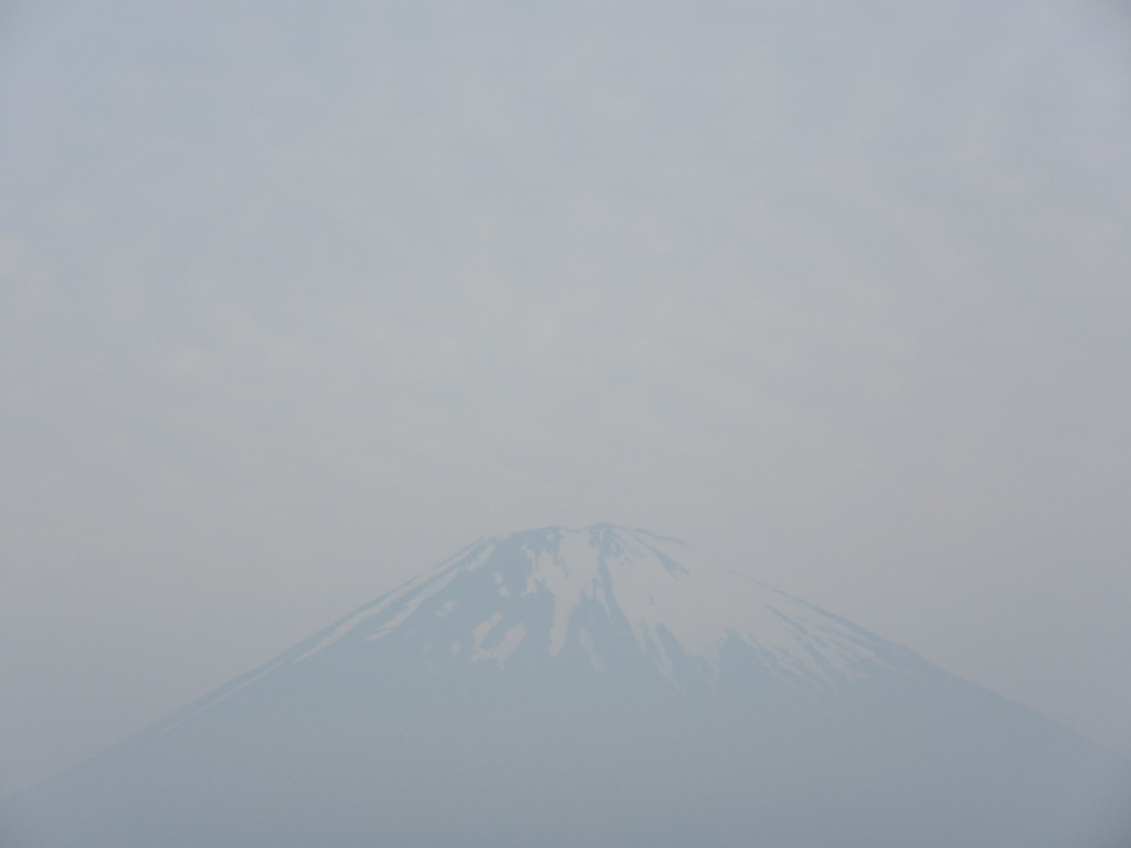 ごごまるの 今朝の富士山♪