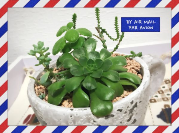 火曜日16:30からは【Y’s  Smiley  Room】
