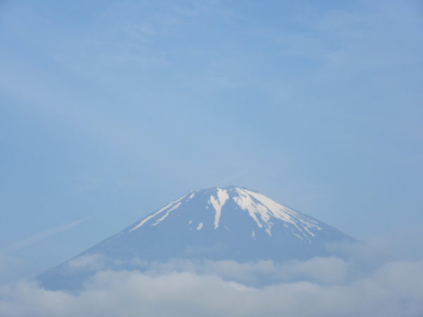 ごごまるの 今朝の富士山〜