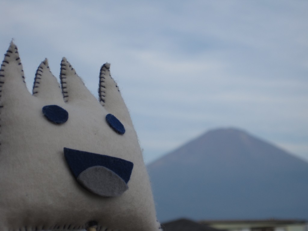ごごまるの、今朝の富士山♪
