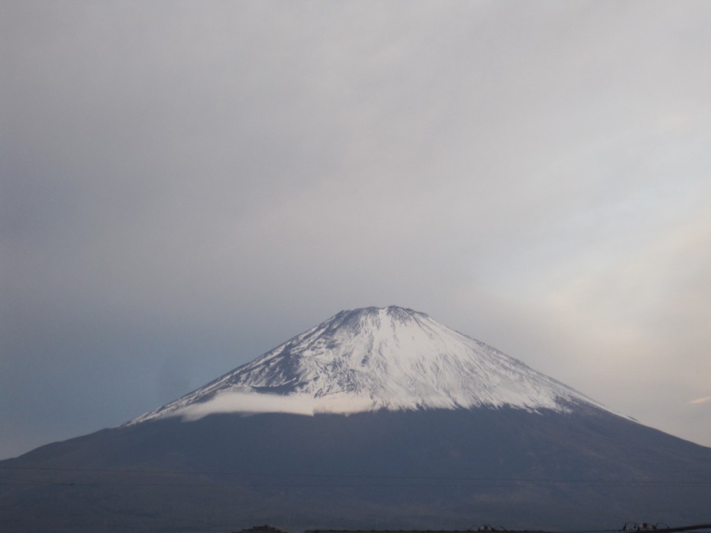 ごごまるの、今朝の富士山♪