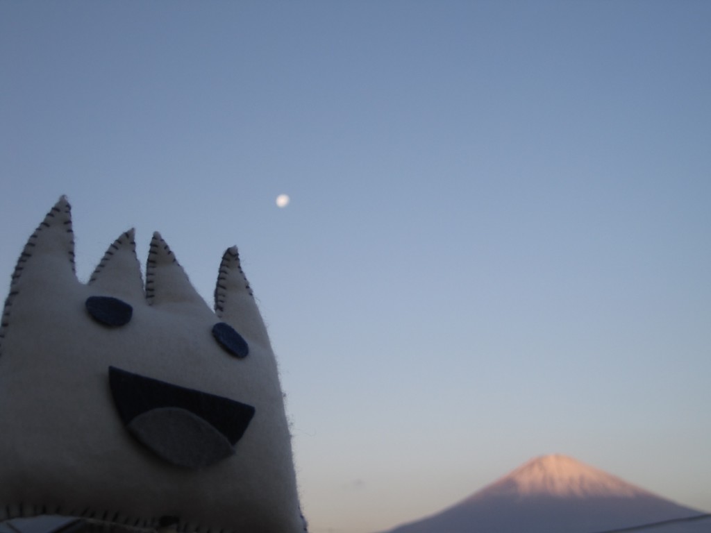 ごごまるの、今朝の富士山♪