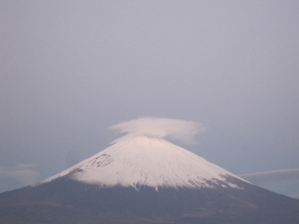 ごごまるの、今朝の富士山♪