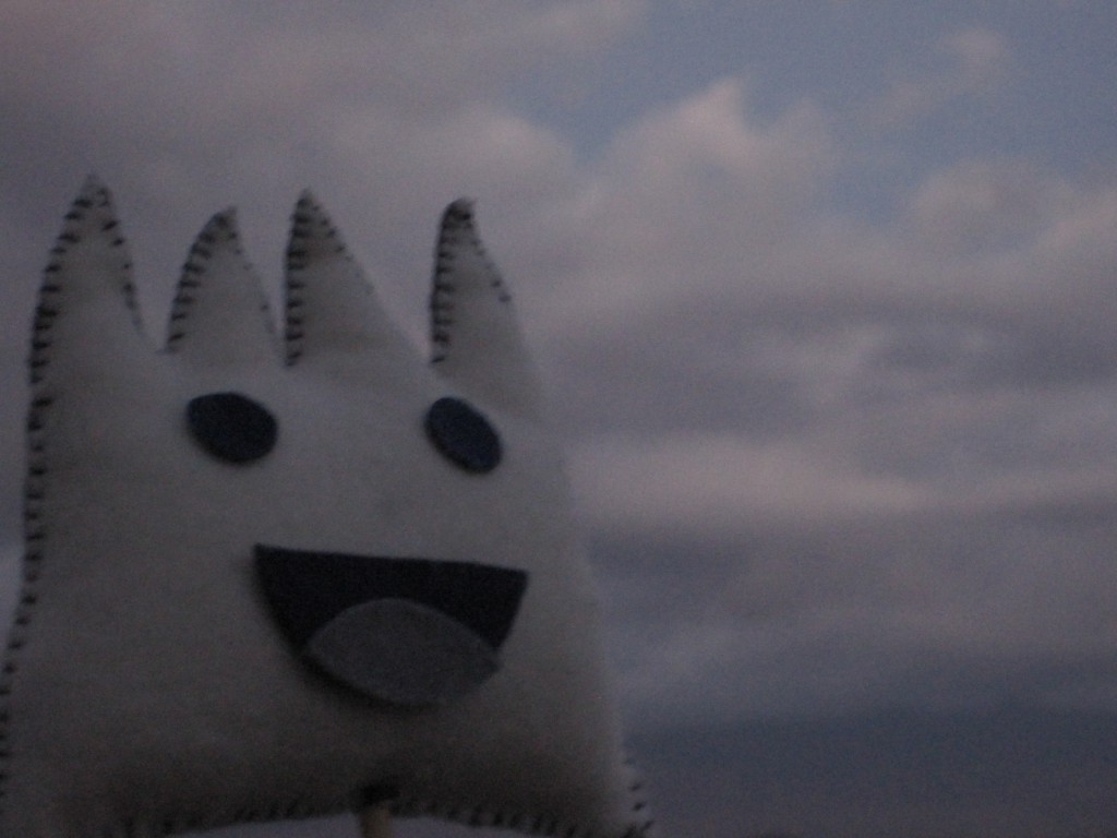 ごごまるの、今朝の富士山♪