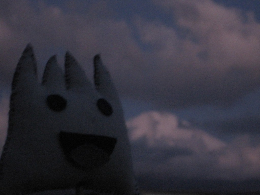 ごごまるの、今朝の富士山