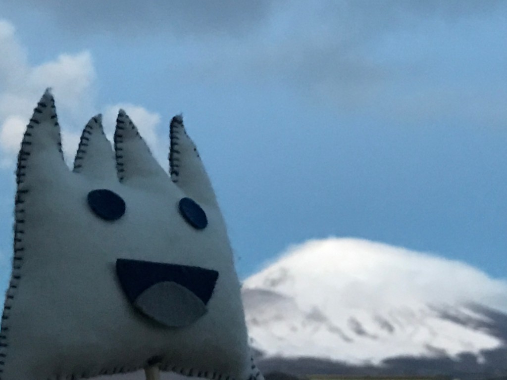 ごごまるの、今朝の富士山♪