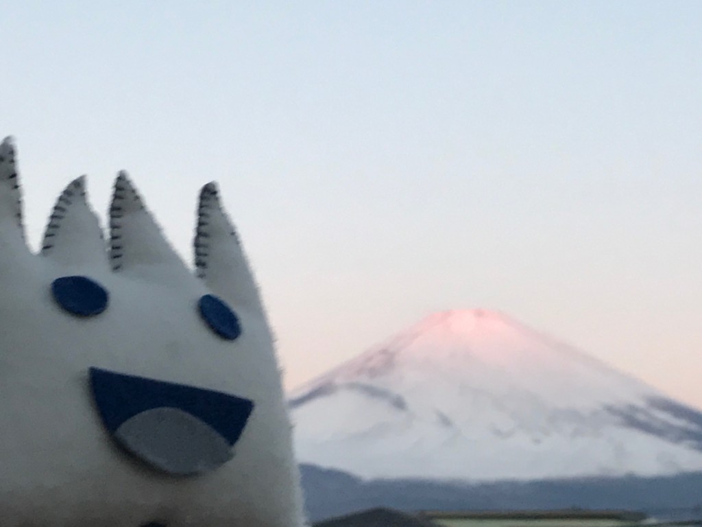 ごごまるの、今朝の富士山♫