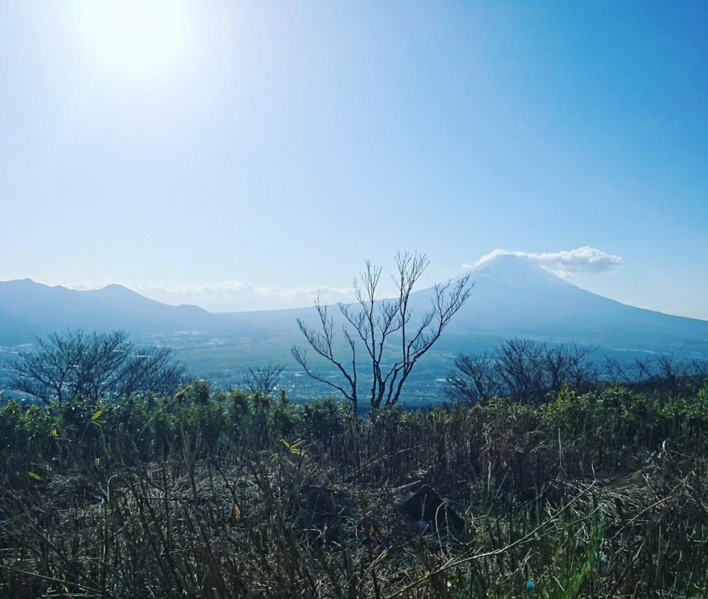 Fujiyama sunshine * 水曜日予告編