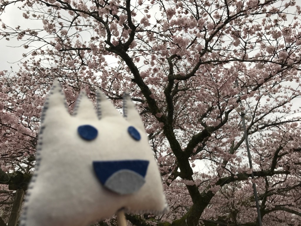 ごごまるの、今朝の富士山