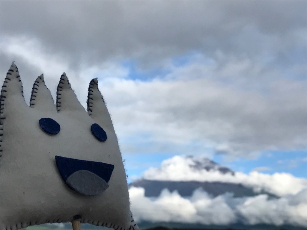 ごごまるの、今朝の富士山