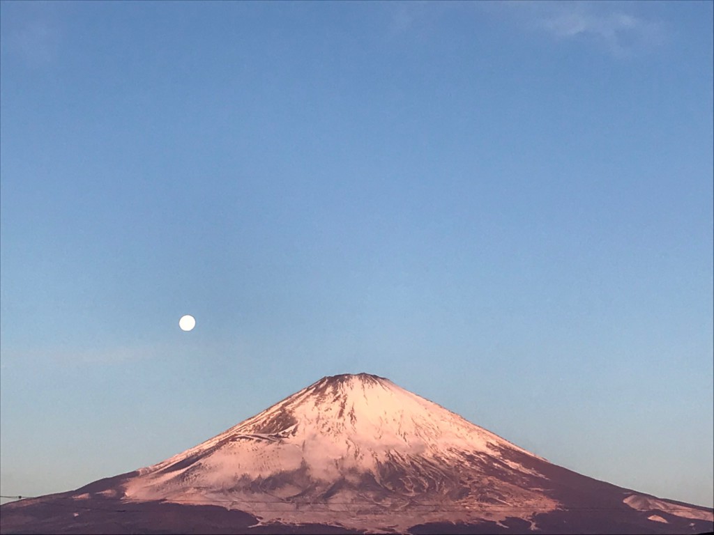 ごごまるの、今朝の富士山♪