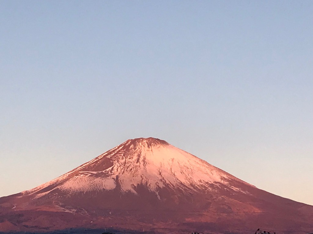 ごごまるの、今朝の富士山♪