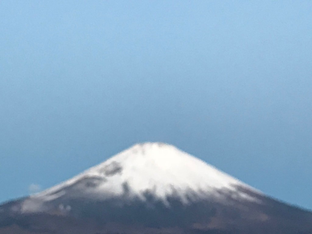 ごごまるの、今朝の富士山♫