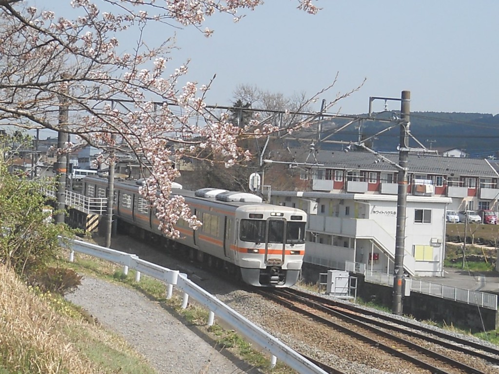 火曜日お昼のFujiyama  Sunshine予告で～す!