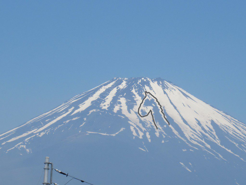 火曜日お昼のFujiyama Sunshine 予告で～す!