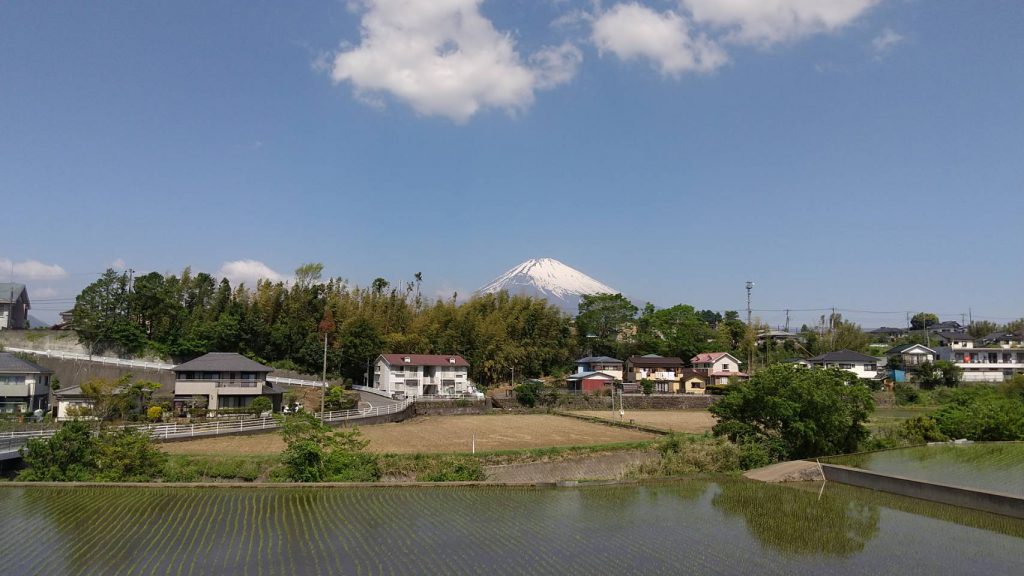 火曜日お昼のFujiyama Sunshine 予告で～す