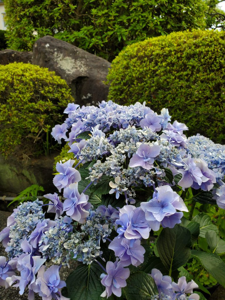 6月24日☆南條亜紀子の水曜FujiyamaSunrise☆予告編