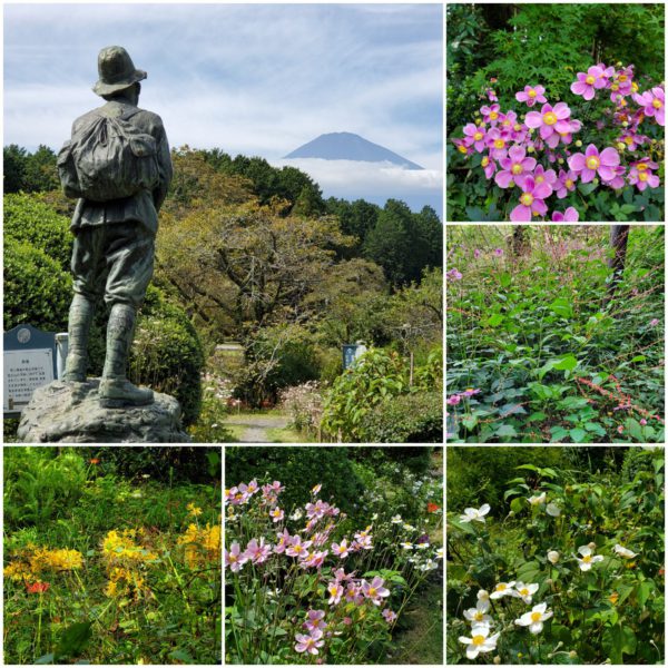 10月1日☆南條亜紀子の木曜Fujiyama Sunrise☆予告編